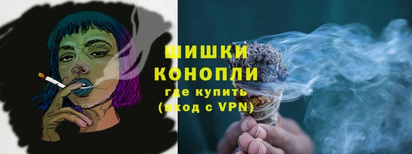 бошки Алексин