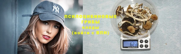 МДПВ Алексеевка