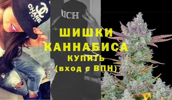 бошки Алексин