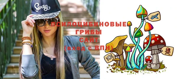 бошки Алексин