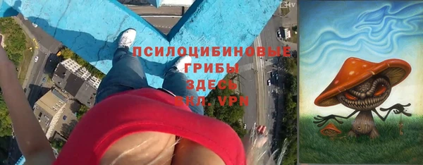 бошки Алексин